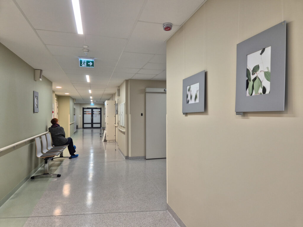 Aicinām apskatīt Rīgas Bolderājas Jaunās pamatskolas Foto studijas izstādi SIA “Rīgas veselības centrs” filiālē “Bolderāja”