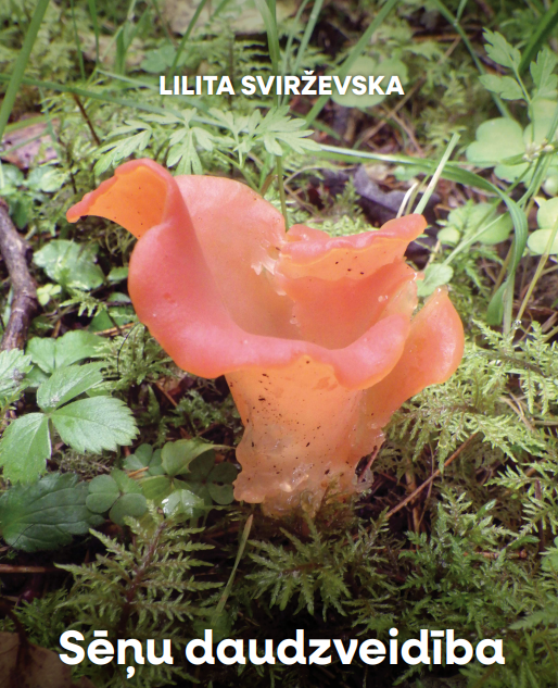 Sēņu daudzveidība – metodiskais materiāls ar pievienotiem uzskates līdzekļiem